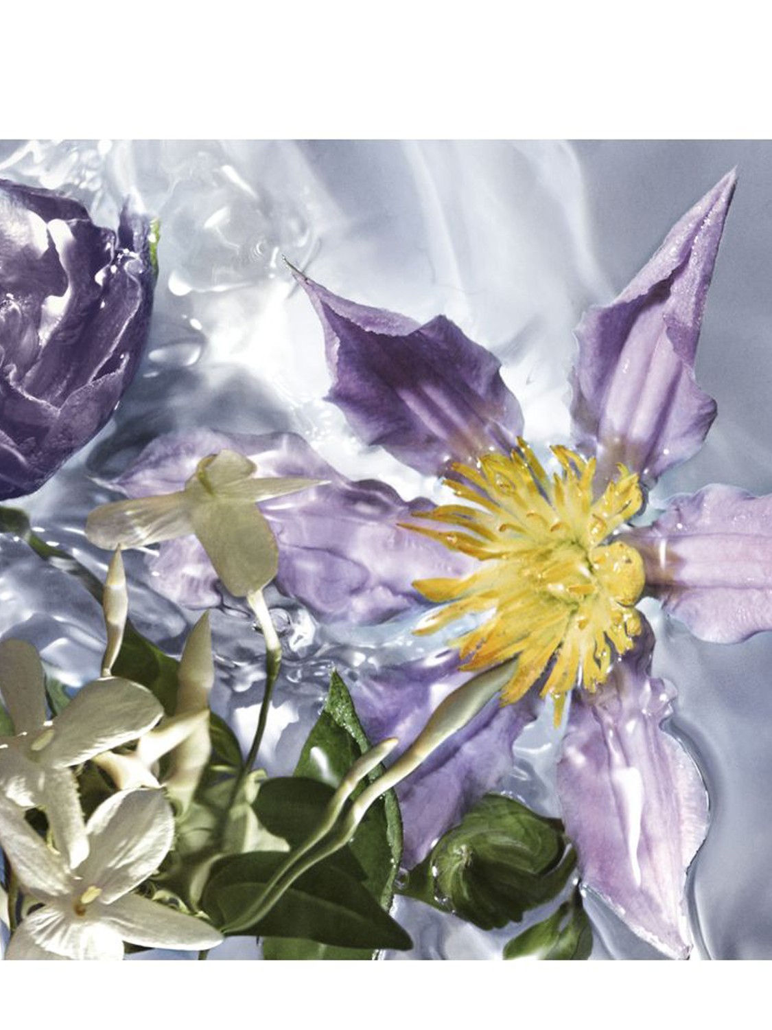 Guerlain Aqua Allegoria Flora Salvaggia Eau De Toilette – foto 3