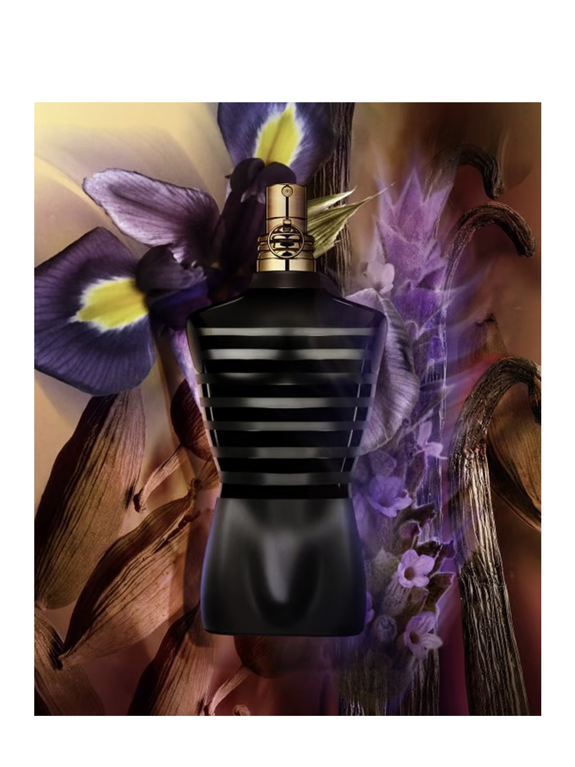 Jean Paul Gaultier Le Male Le Parfum Eau De Parfum Intenso